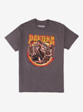 Pantera Band Portrait Flames T-Shirt | Premium Unisex T-Shirt, Trending Graphic Tee