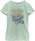 Harry Potter Unisex Child Book Cover T Shirt Green Apple X Large