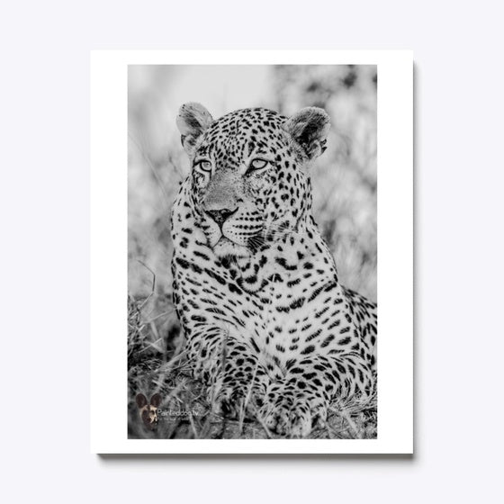 Tingana The Duke | Premium Unisex T-Shirt, Trending Graphic Tee