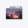Delight in Life | Graphic T-Shirt for Unisex
