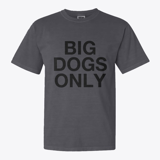 Big Dogs Only AK POWER | Graphic T-Shirt for Unisex