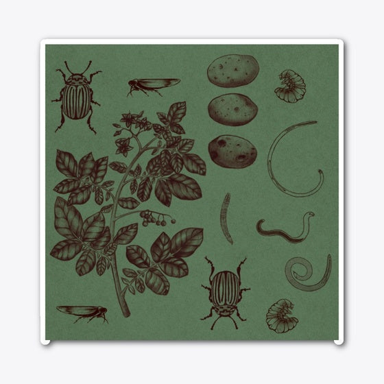 Potatoes vs Pests Sticker | Premium Unisex T-Shirt, Trending Graphic Tee