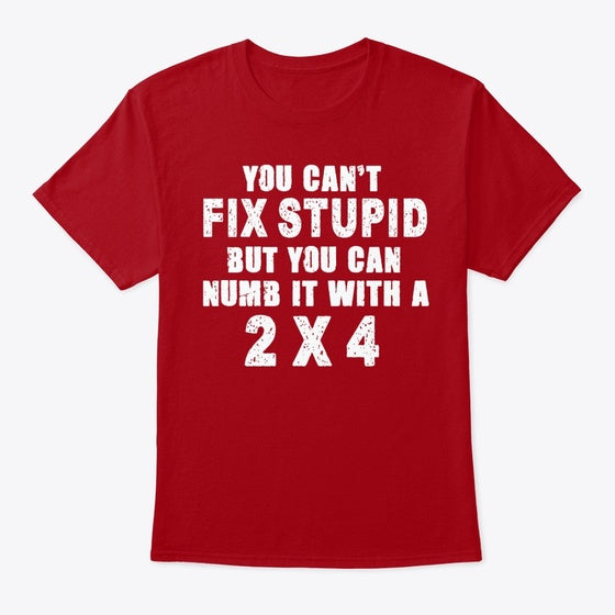 You Can't Fix Stupid | Premium Unisex T-Shirt