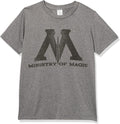 Harry Potter Kids Ministry Of Magic Logo Youth Pullover Hoodie