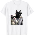 Funny Cats Driving A Car