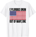 E Pluribus Unum Usa Flag