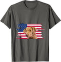 American Flag Dog Chesapeake Bay Retriever