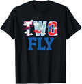 Two Fly Birthday Party Decorations for Boy Airplane 2nd Birthday Design 247