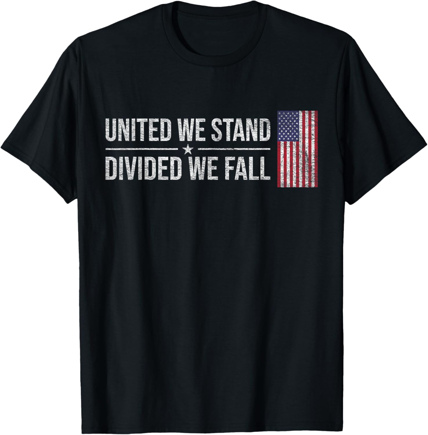 Usa Flag United We Stand Divided We Fall American Patriot