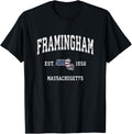 Framingham Massachusetts Ma Vintage American Flag Design