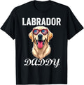 Labrador Dad Usa Flag Dog Lover For Fatheru2019S Day