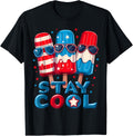 Patriotic Ice Pops Stay Cool 4Th Of July American Flag Usa