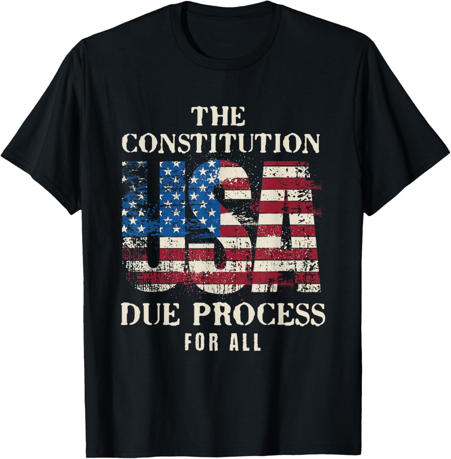 The United States Constitution Usa Due Process For All