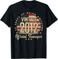 Vintage 2012 Official Teenager 13 Year Old Gifts Usa Flag