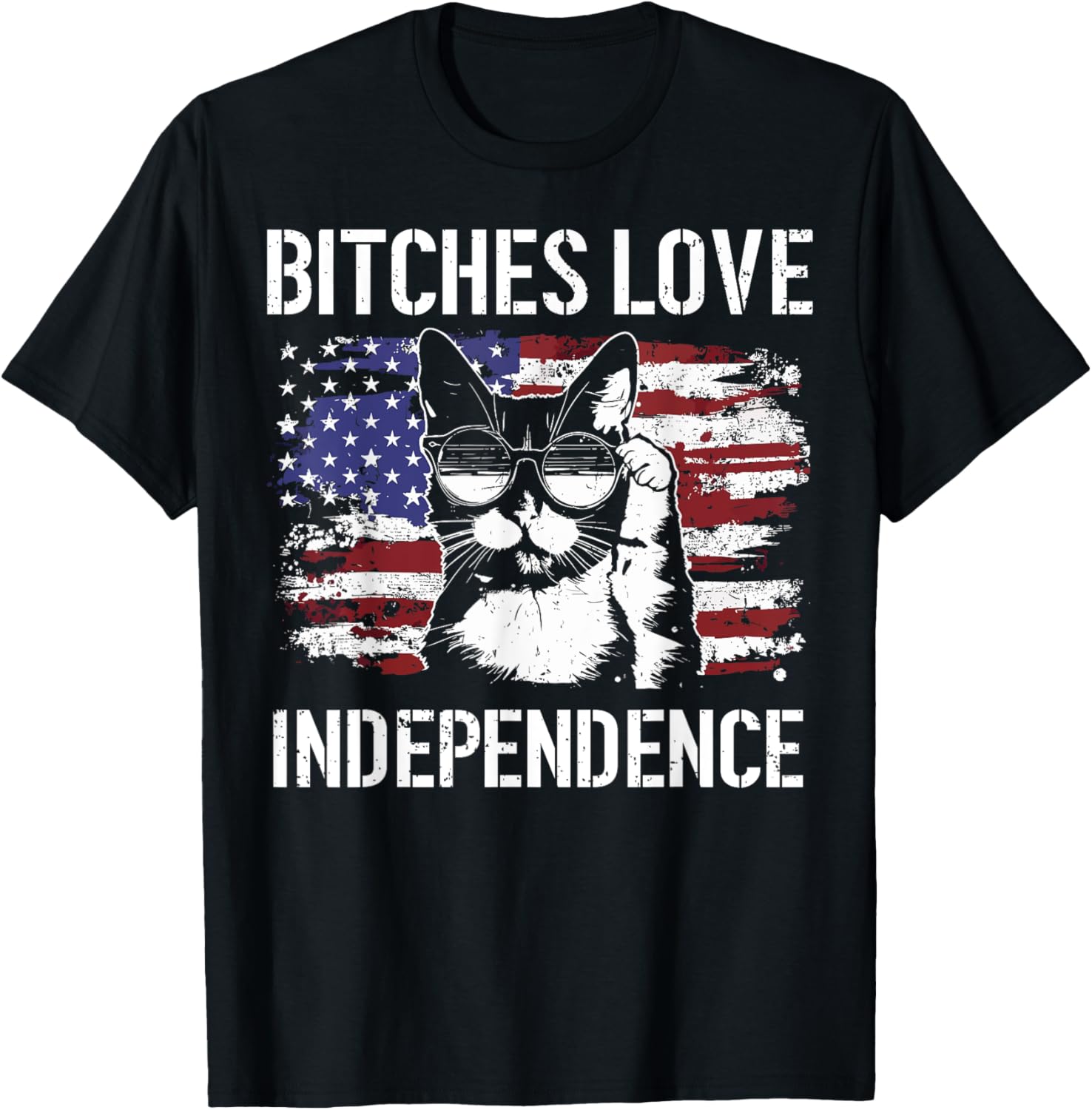 Bitches Love Independence Funny Cat Usa Flag 4Th Of July
