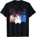 Guinea Pig American Flag 4Th Of July Firework Patriotic Usa