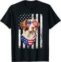 Brittany Spaniel American Flag Usa Patriotic 4Th Of July