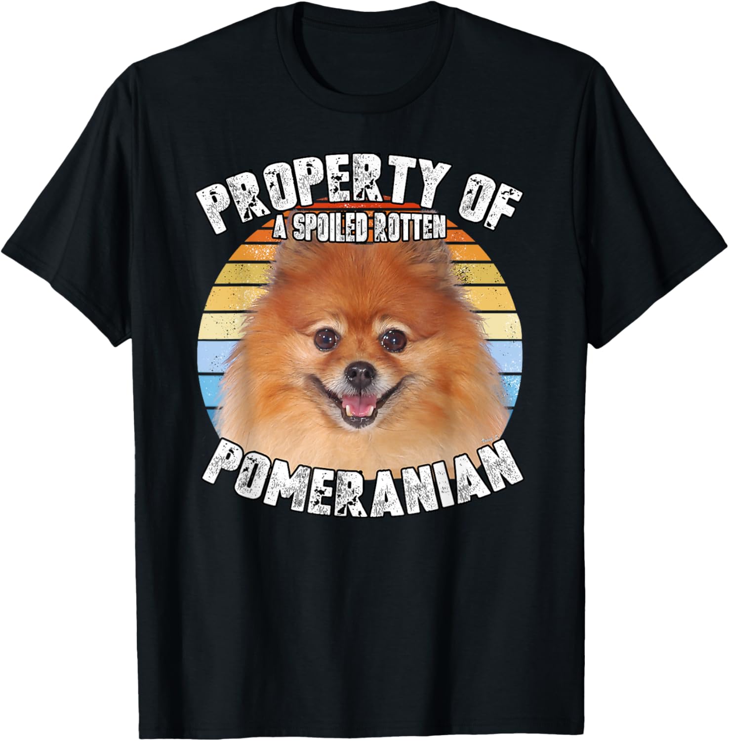 Pomeranian Property Of Retro