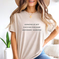 Gaming Is My Excuse For Bad Decision-Making - Gaming Shirt