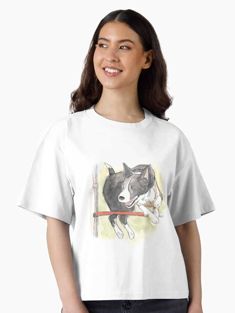 Border Collie Agility Jump