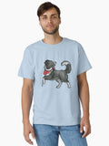Black And White Border Collie