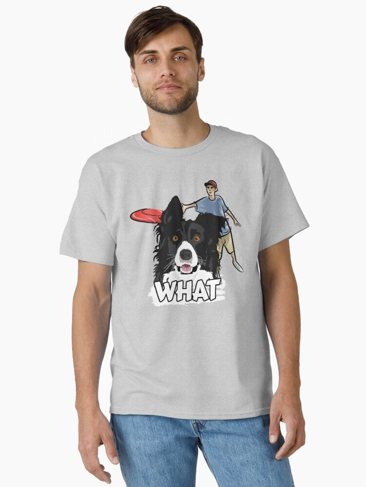 Border Collie Fetching Dog