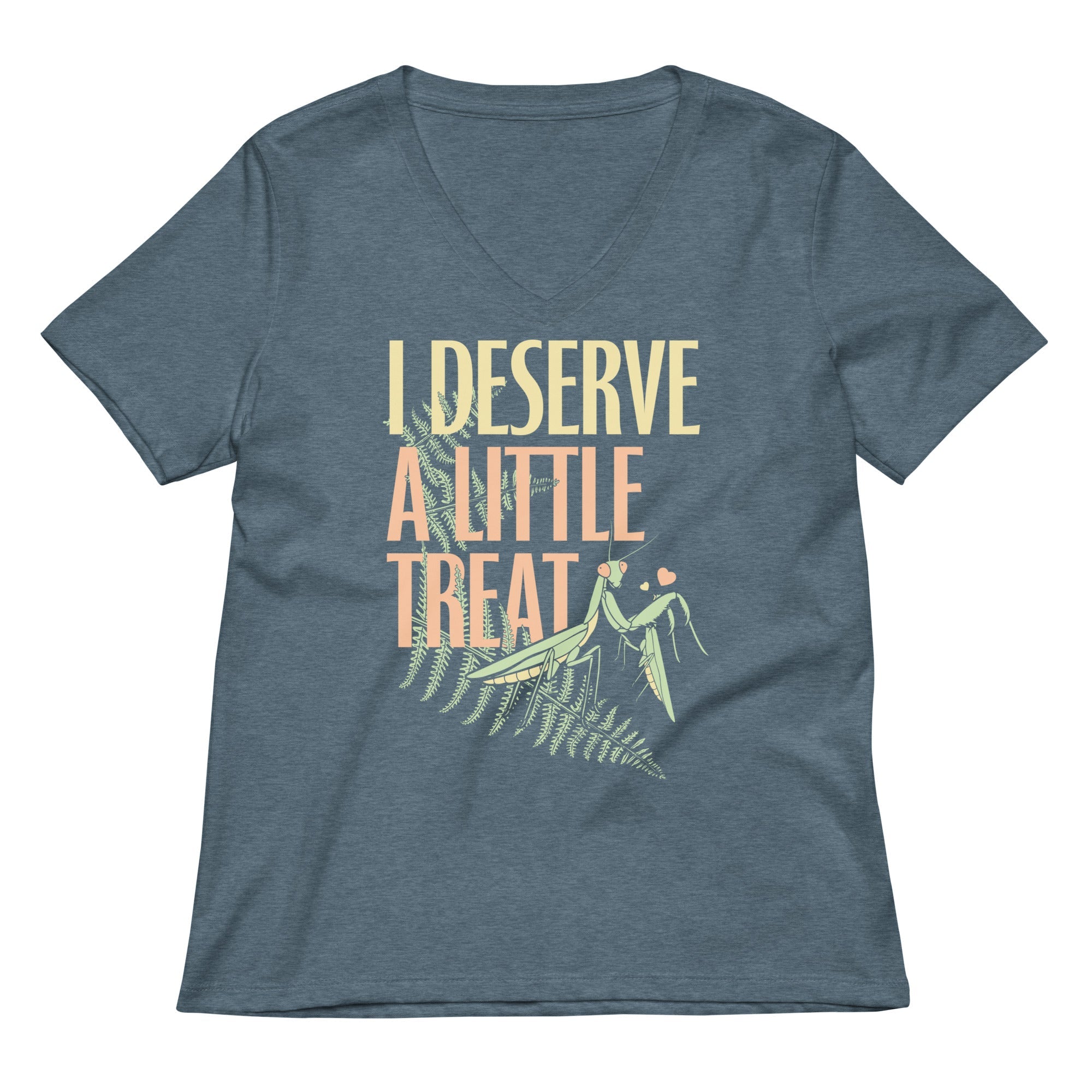 I Deserve A Little Treat Women S V Neck Tee V Neck T Shirt US Trend