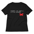 Sorry I M Just A Little Crabby Women S V Neck Tee V Neck T Shirt US Trend
